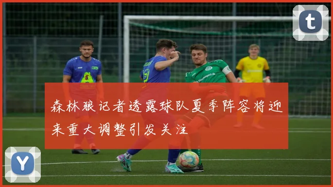 森林狼记者透露球队夏季阵容将迎来重大调整引发关注