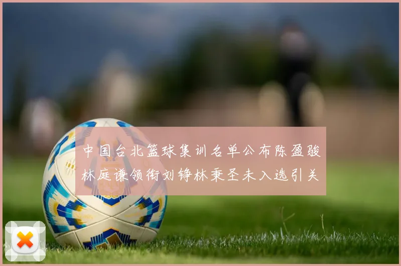 中国台北篮球集训名单公布陈盈骏林庭谦领衔刘铮林秉圣未入选引关注